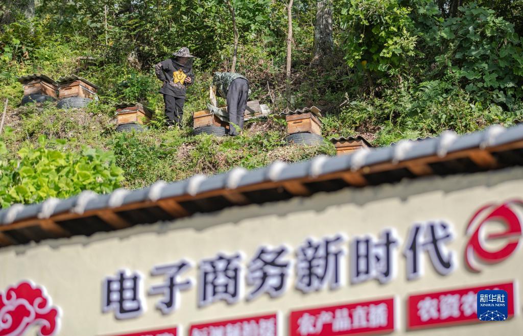 mg游戏列表